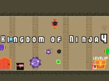 Kingdom of Ninja 4